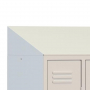 /accessoires-pour-vestiaires-professionnels/coiffe-incline-couleur-standard-ral-7035-p-4000913.6-600x600.jpg