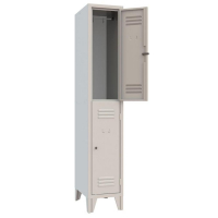 Armoire vestiaire monobloc multi casier ind saliss Couleur standard RAL 7035